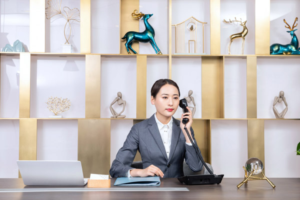 客服系统,公海彩船